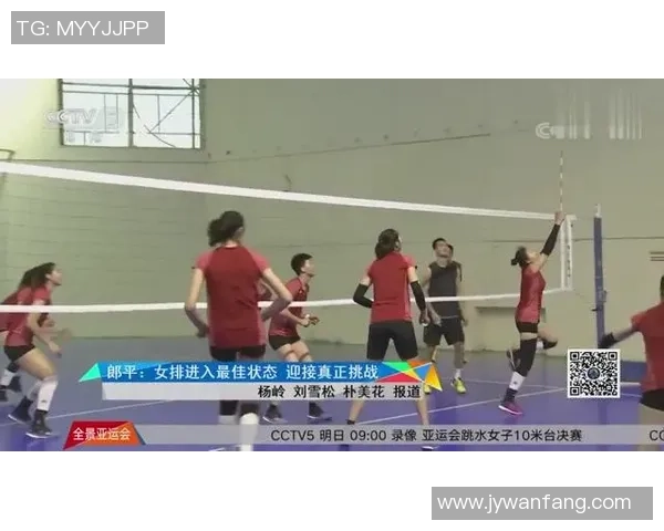 对话周强：回顾排球生涯的辉煌与挑战与未来展望